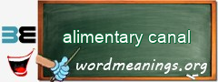 WordMeaning blackboard for alimentary canal